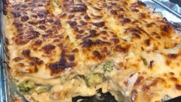 Chicken and Broccoli Lasagna Recipe