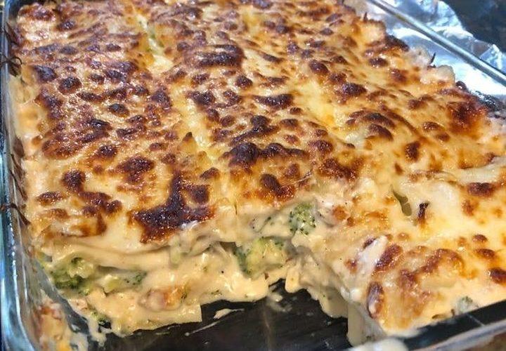 Chicken and Broccoli Lasagna Recipe