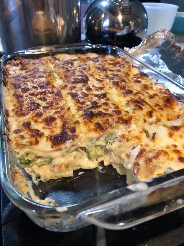 Chicken and Broccoli Lasagna Recipe