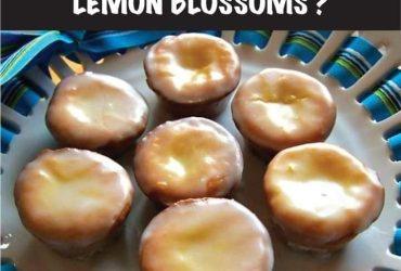 Lemon Blossoms