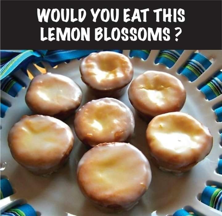 Lemon Blossoms