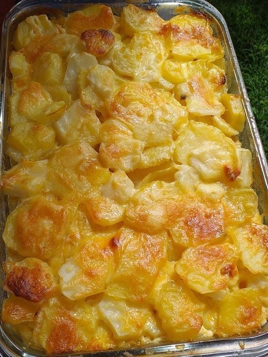 Scalloped Potatoes Recipes Need   232378138 967246247167785 3484699145727575815 N 