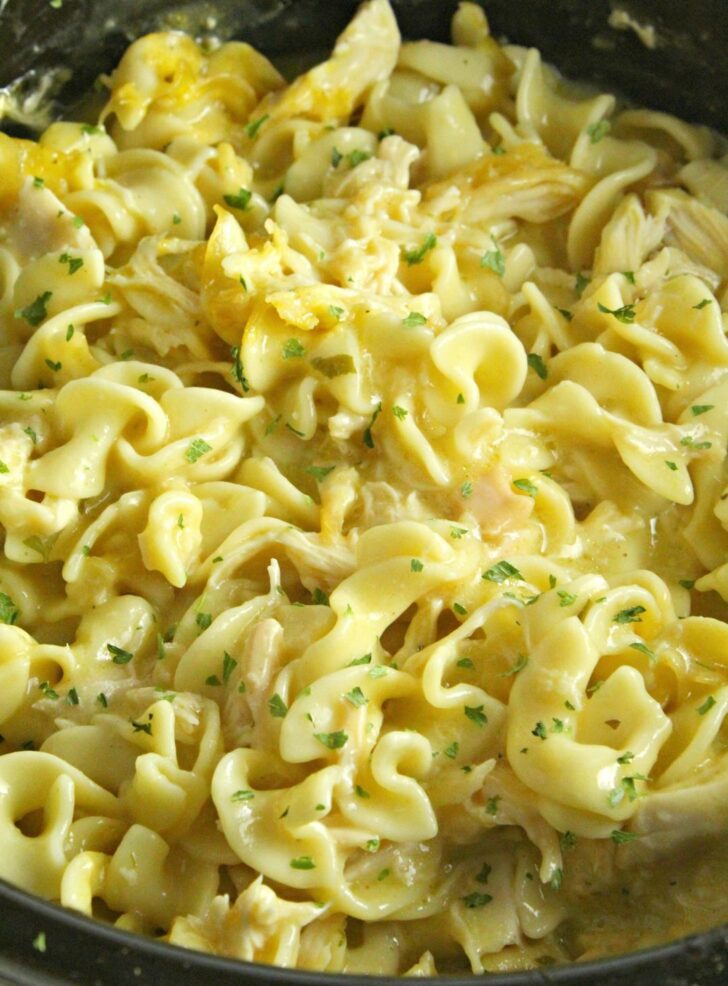 Chicken Noodles - Recipes Need