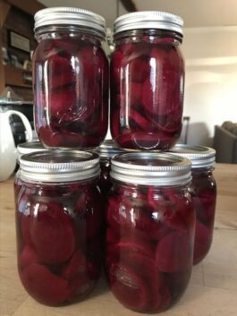 Refrigerator Pickled Beets Recipes Need   358124658 619853920243377 6939456100771791259 N 265x353 