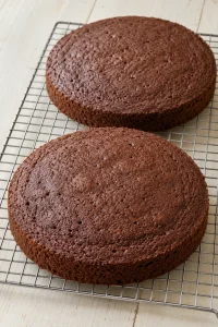 Two baked chocolate cake layers cooling on a wire rack before frosting