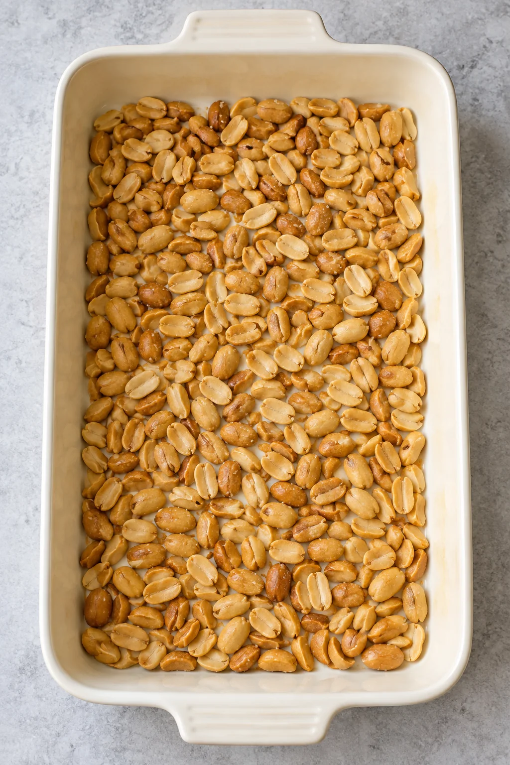 Salted roasted peanuts spread over the bottom of a greased rectangular baking dish.