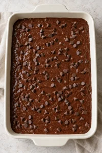Chocolate cake batter topped with chocolate chips before baking