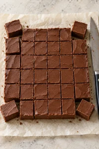 A firm slab of plain chocolate fudge cut into small squares on parchment paper